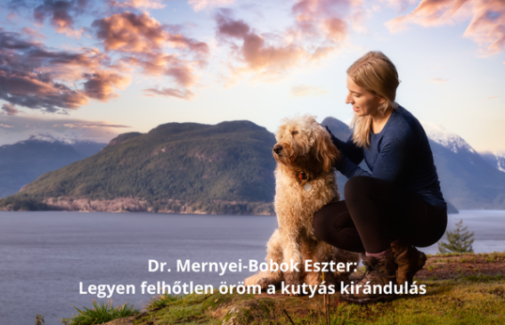 Kirándulás kutyával